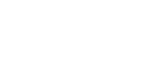 Caelrise Consulting